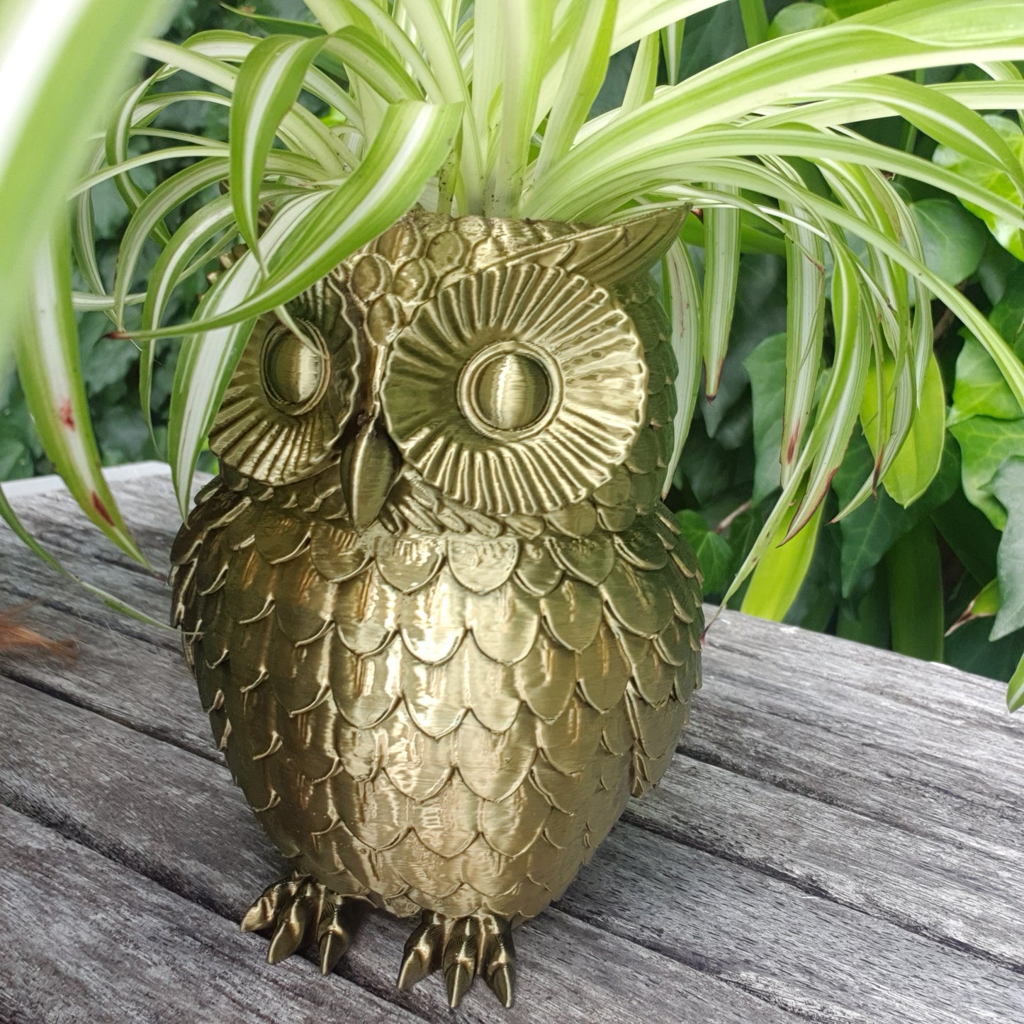 Owl Planter