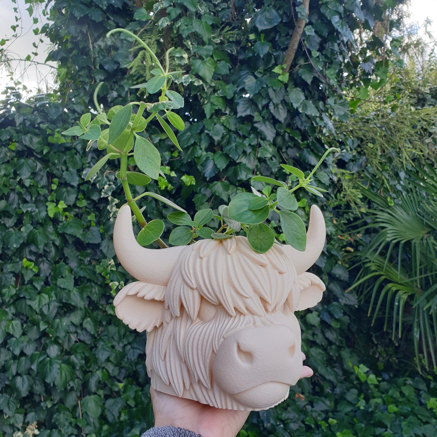 Highland Cow Head Planter