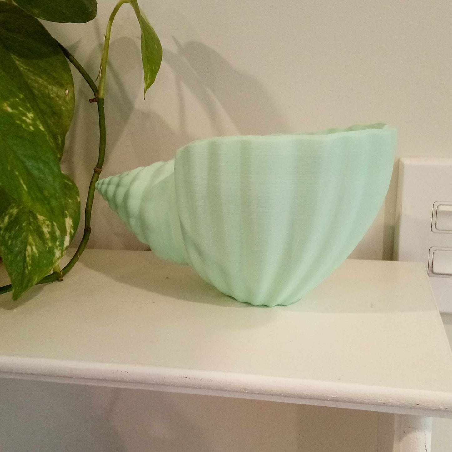 Sea Shell Plant Pot