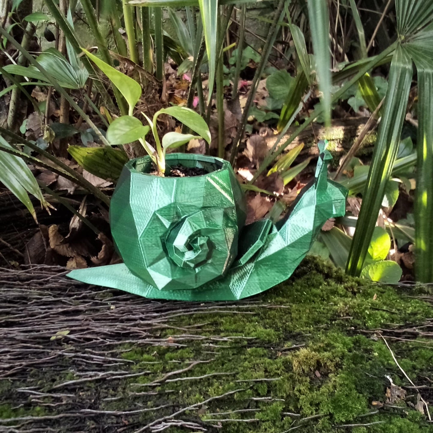 Geometric Snail Plant Pot