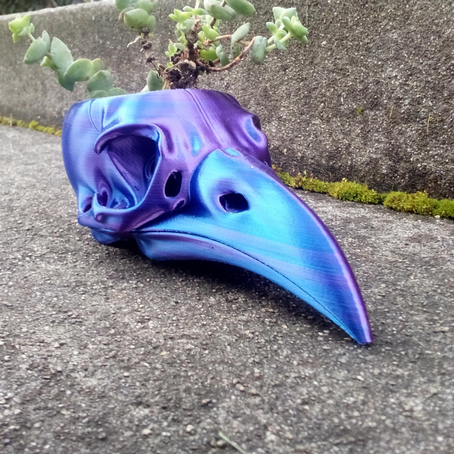 Raven Skull Planter