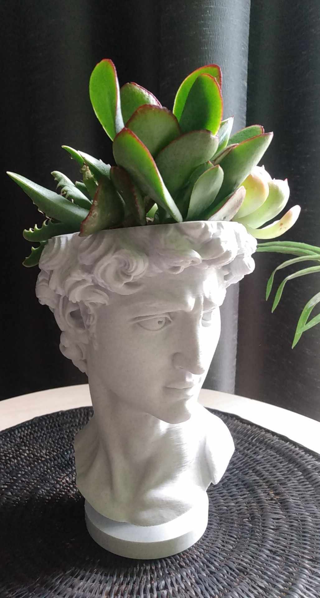 greek bust planter pot Statue of David Bust Plant Pot – Wyverns Forge New Zealand