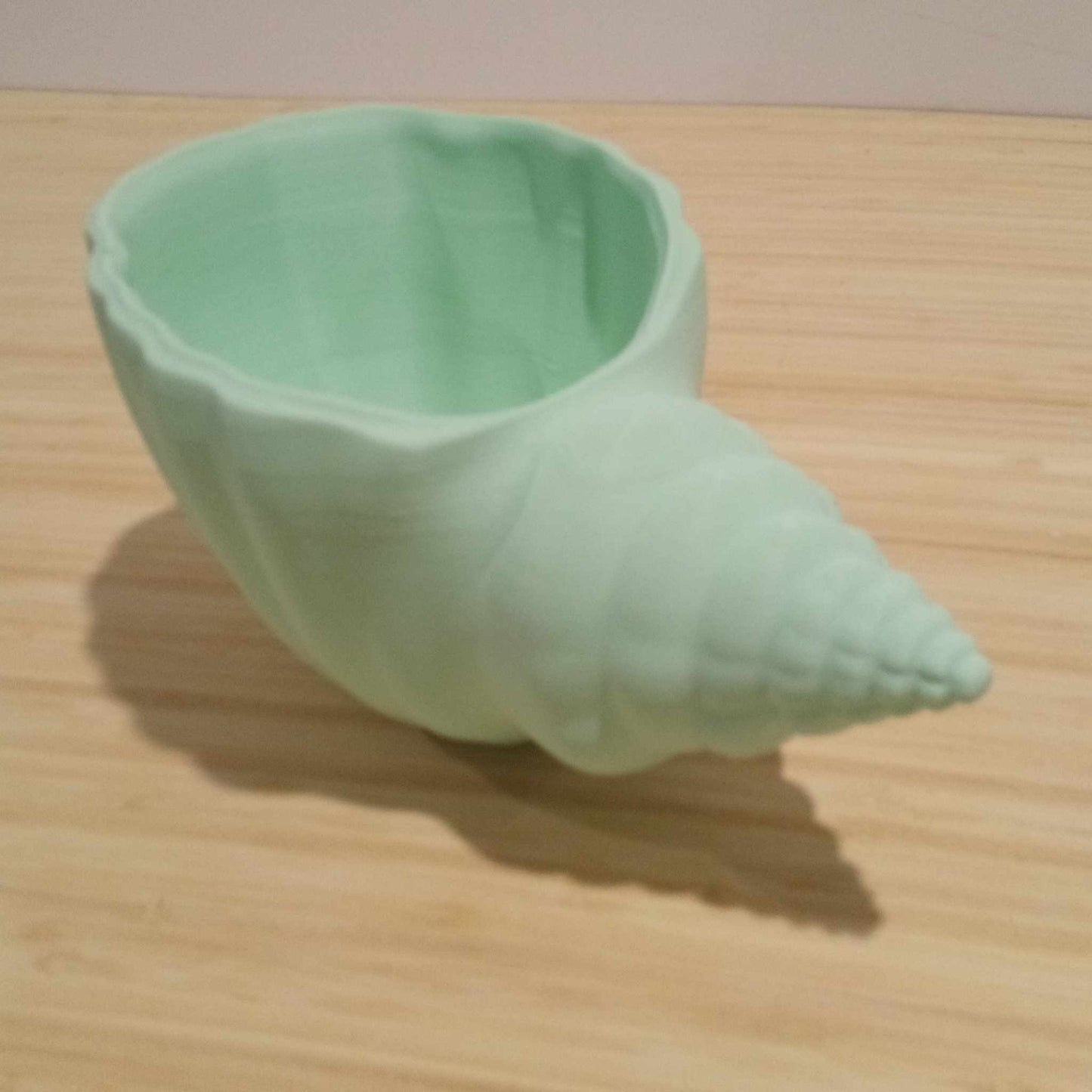 Sea Shell Plant Pot