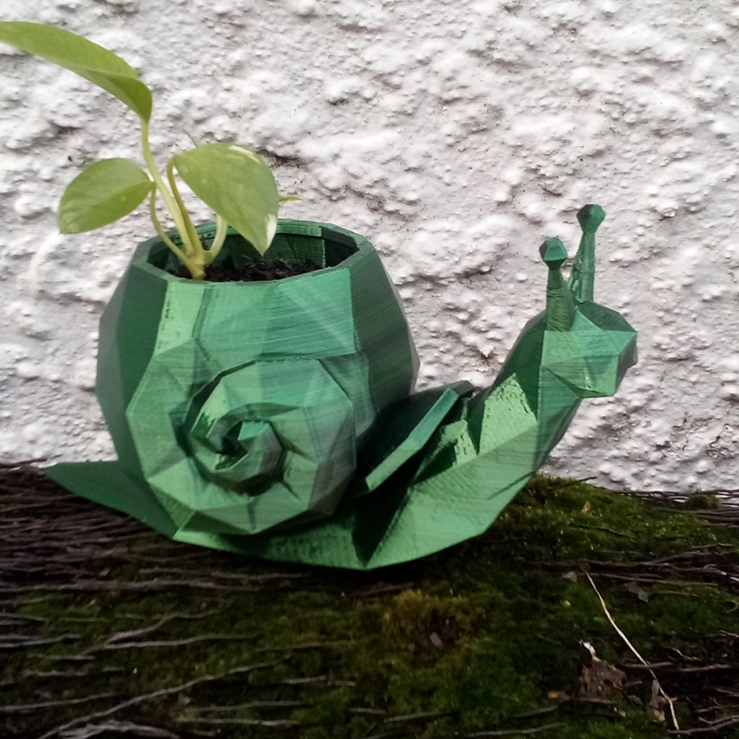 Geometric Snail Plant Pot