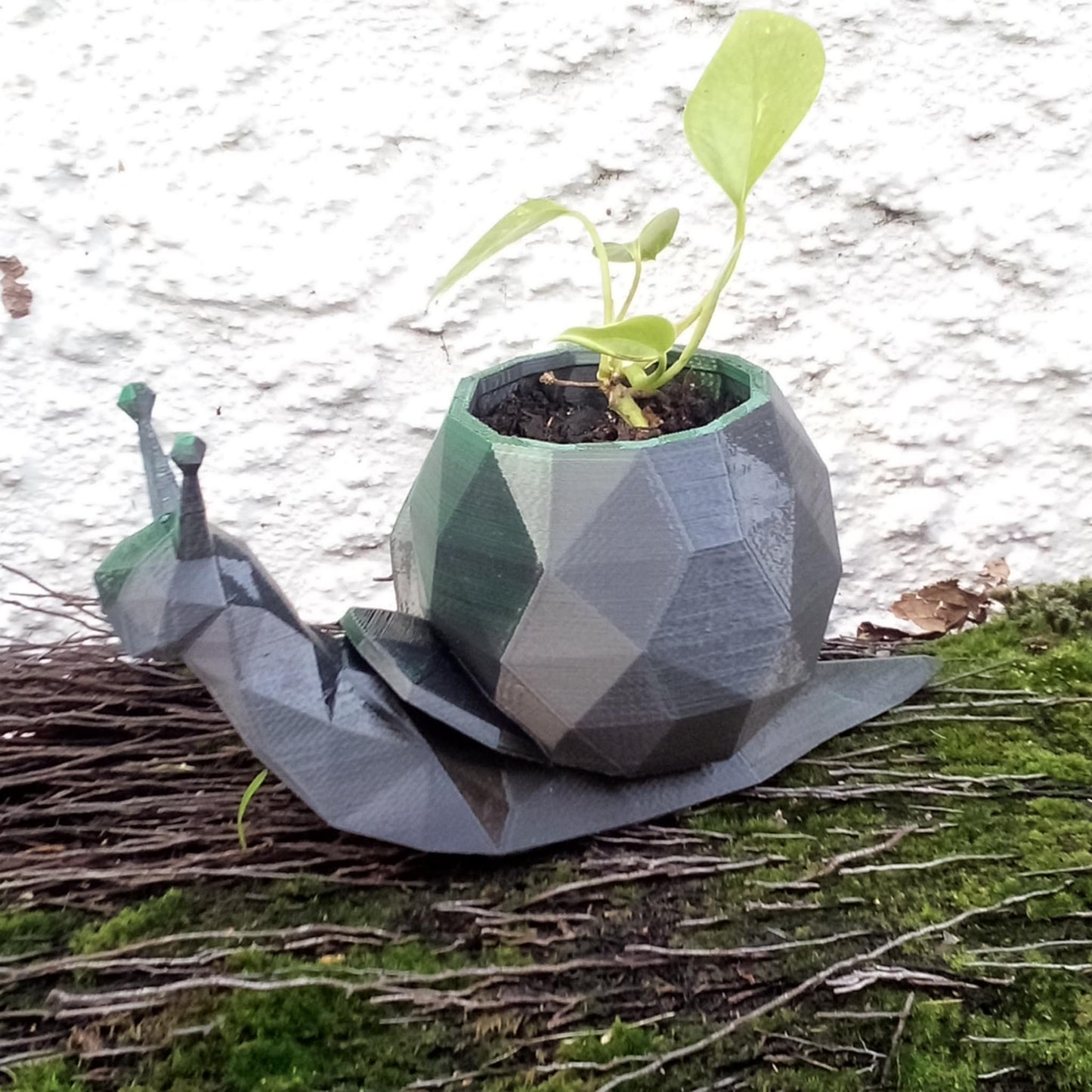 Geometric Snail Plant Pot