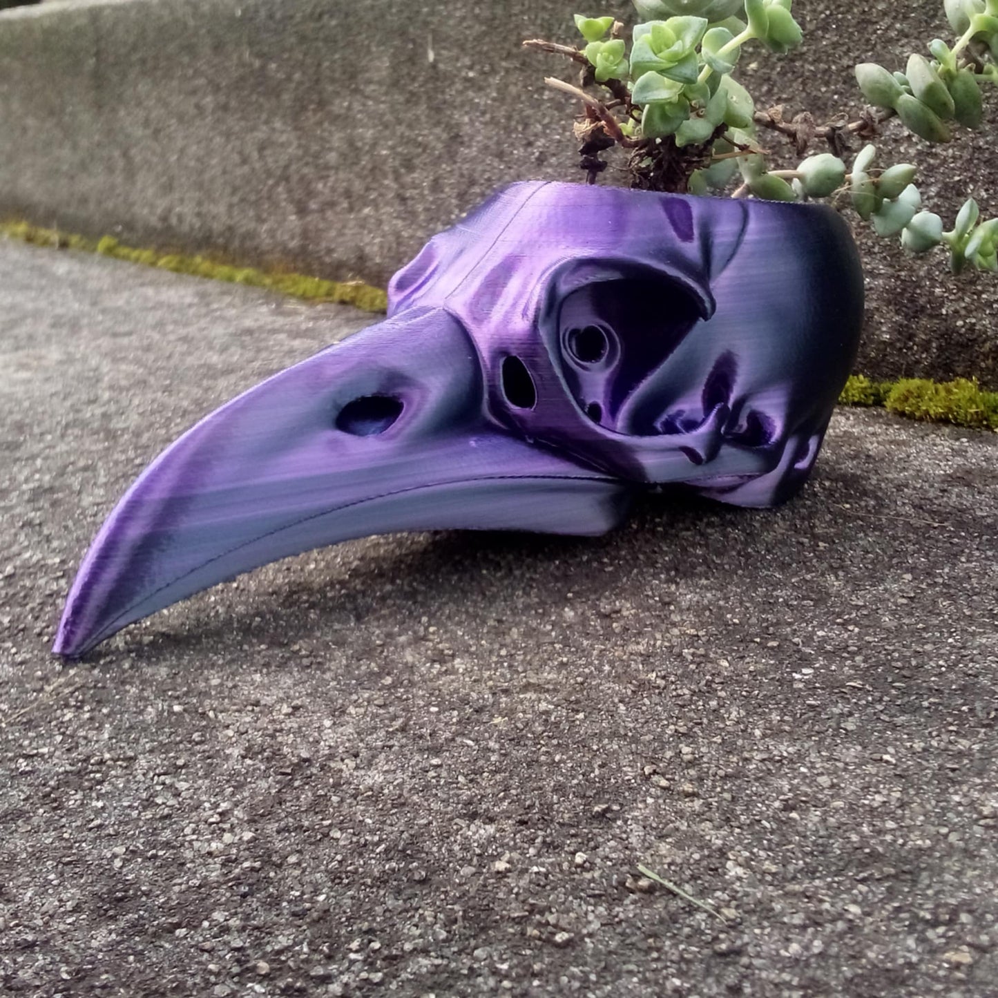 Raven Skull Planter