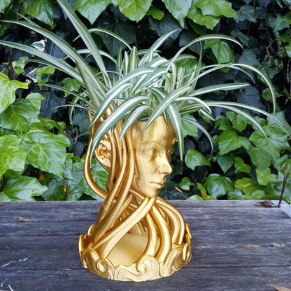 Aura Sculptural Plant Pot