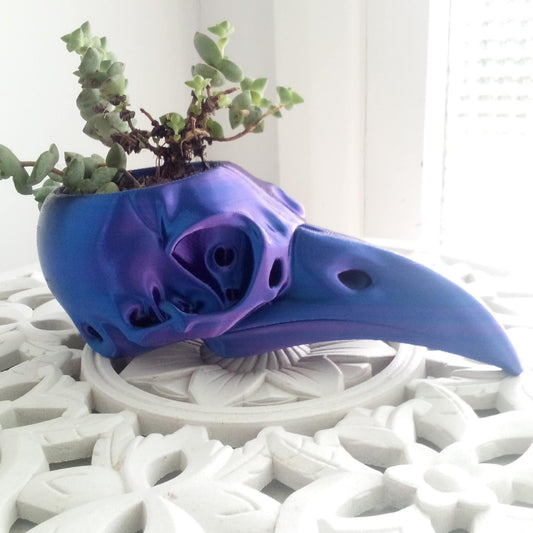 Raven Skull Planter