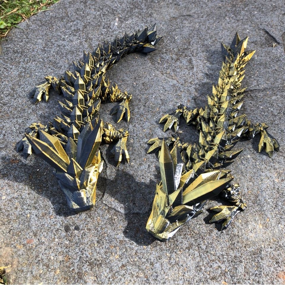 Rainbow Articulated Dragon Twins