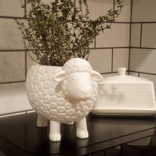 Sheep Plant Pot