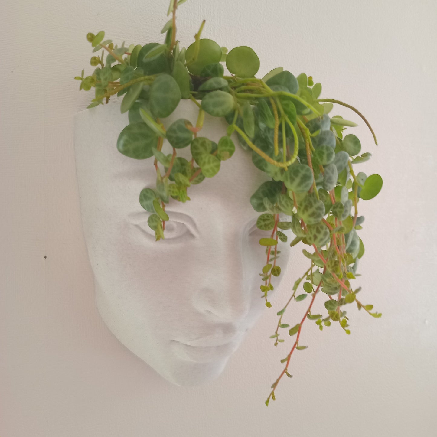 face hanging planter Realistic Face Wall Hanging Planter – Wyverns Forge New Zealand