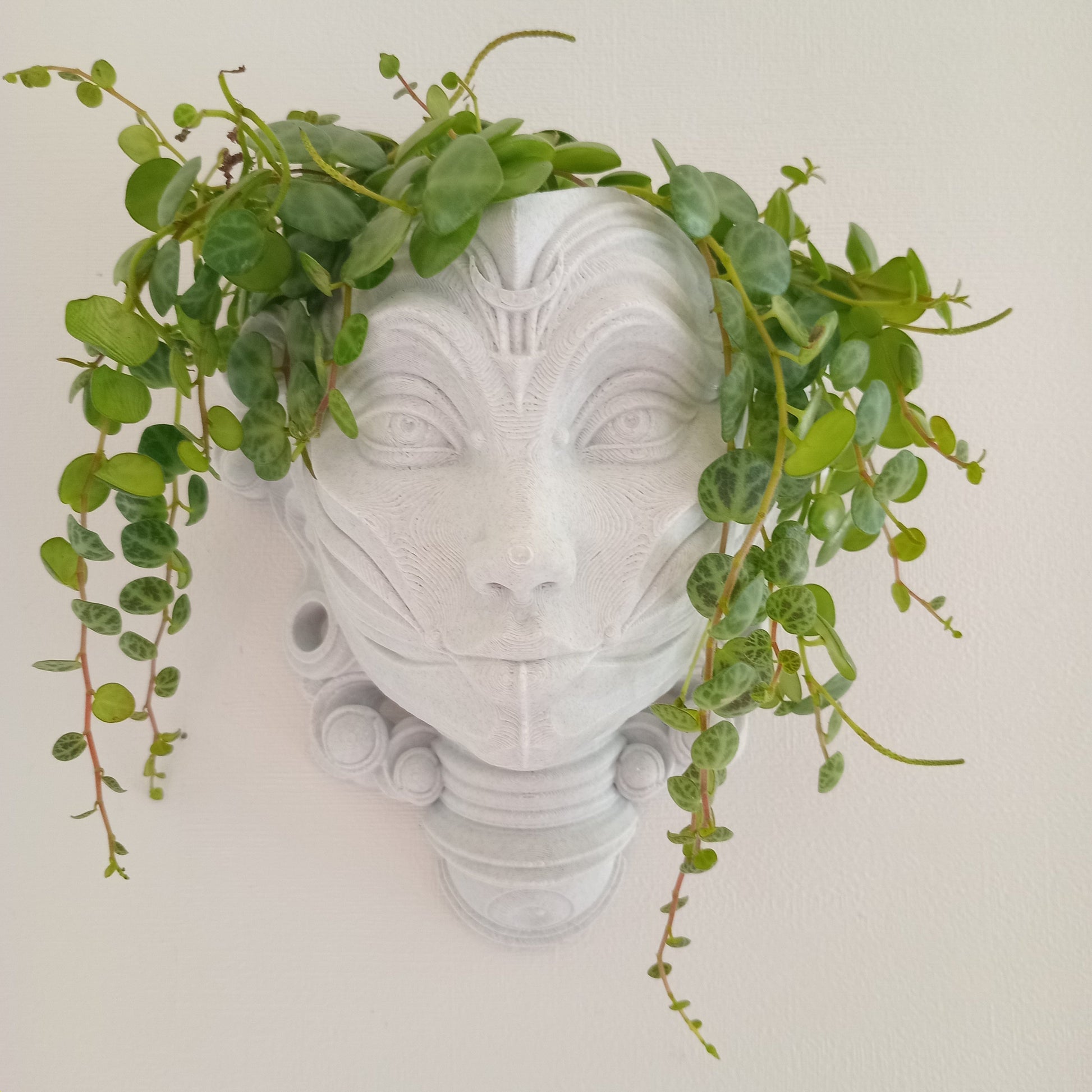 hanging planter nz Luna Interchangeable Wall Hanging/Stand Alone Planter – Wyverns Forge New Zealand