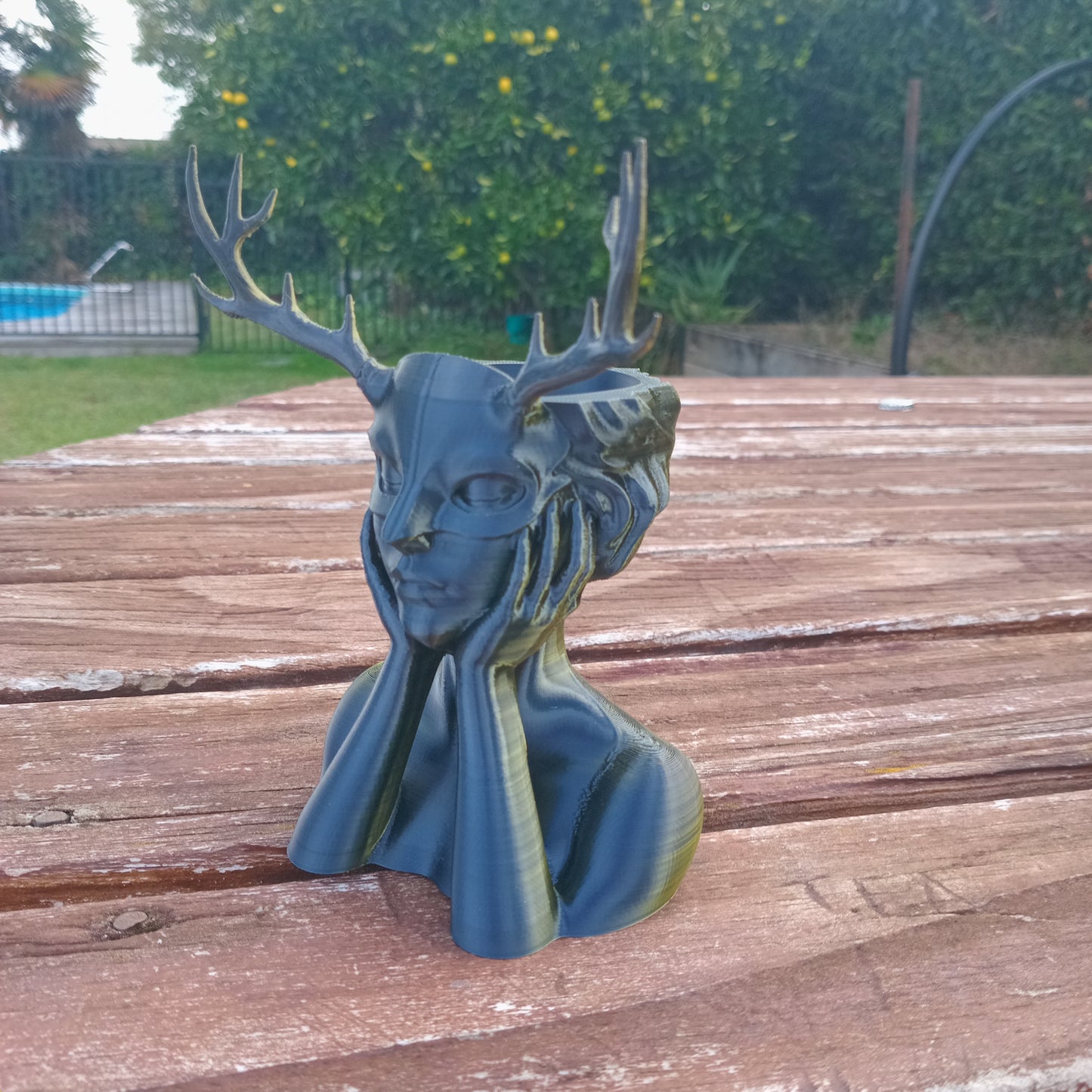 Wild Heart Plant Pot