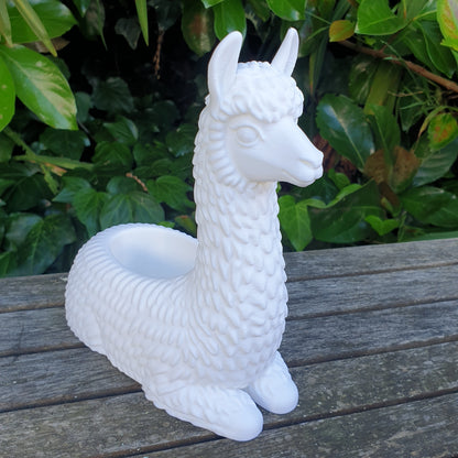 No Drama Llama Planters