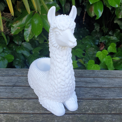 No Drama Llama Planters