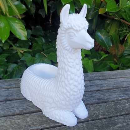 No Drama Llama Planters