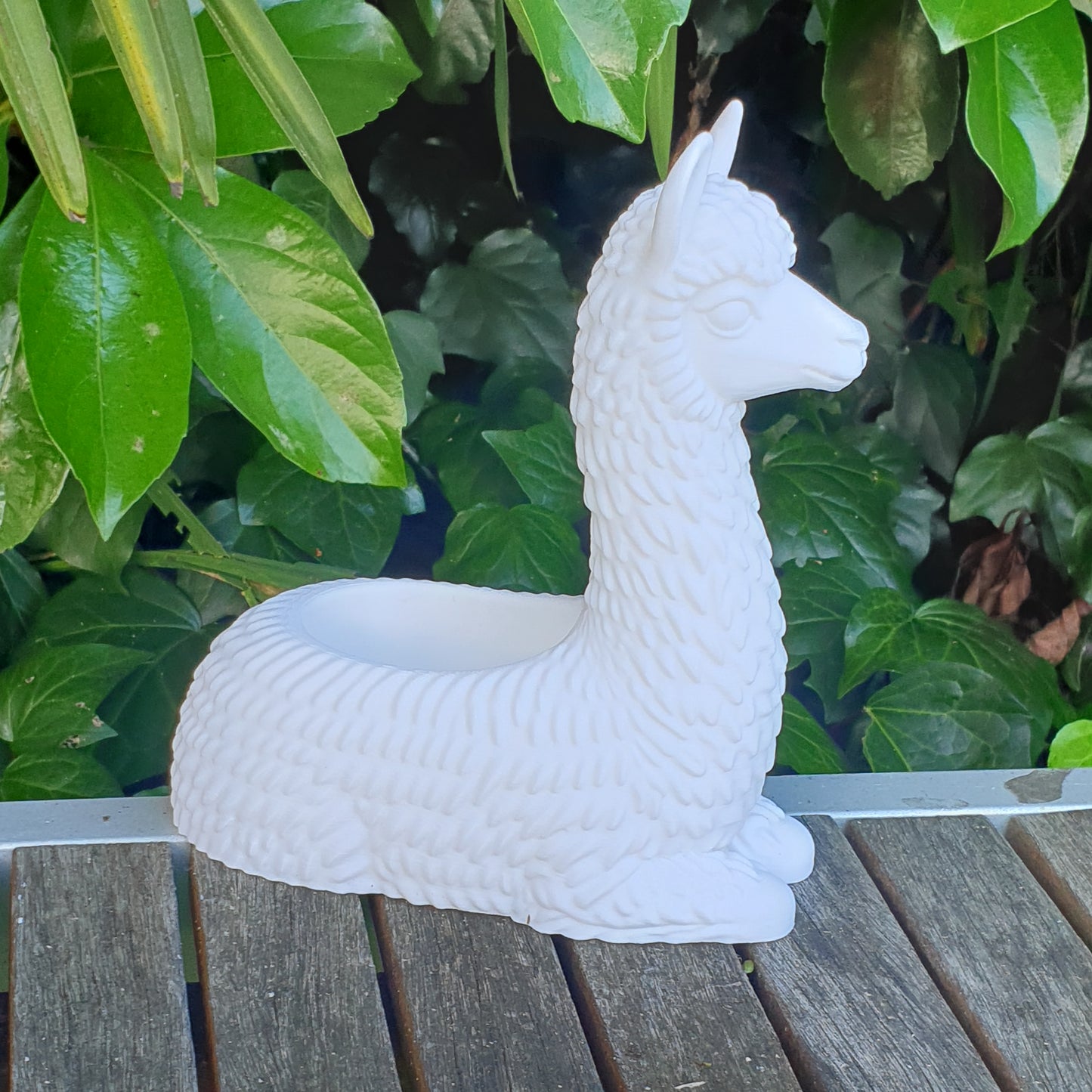 No Drama Llama Planters