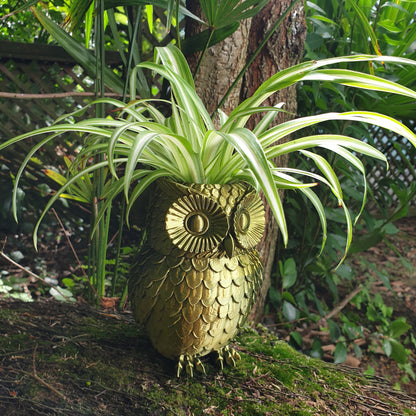 Owl Planter