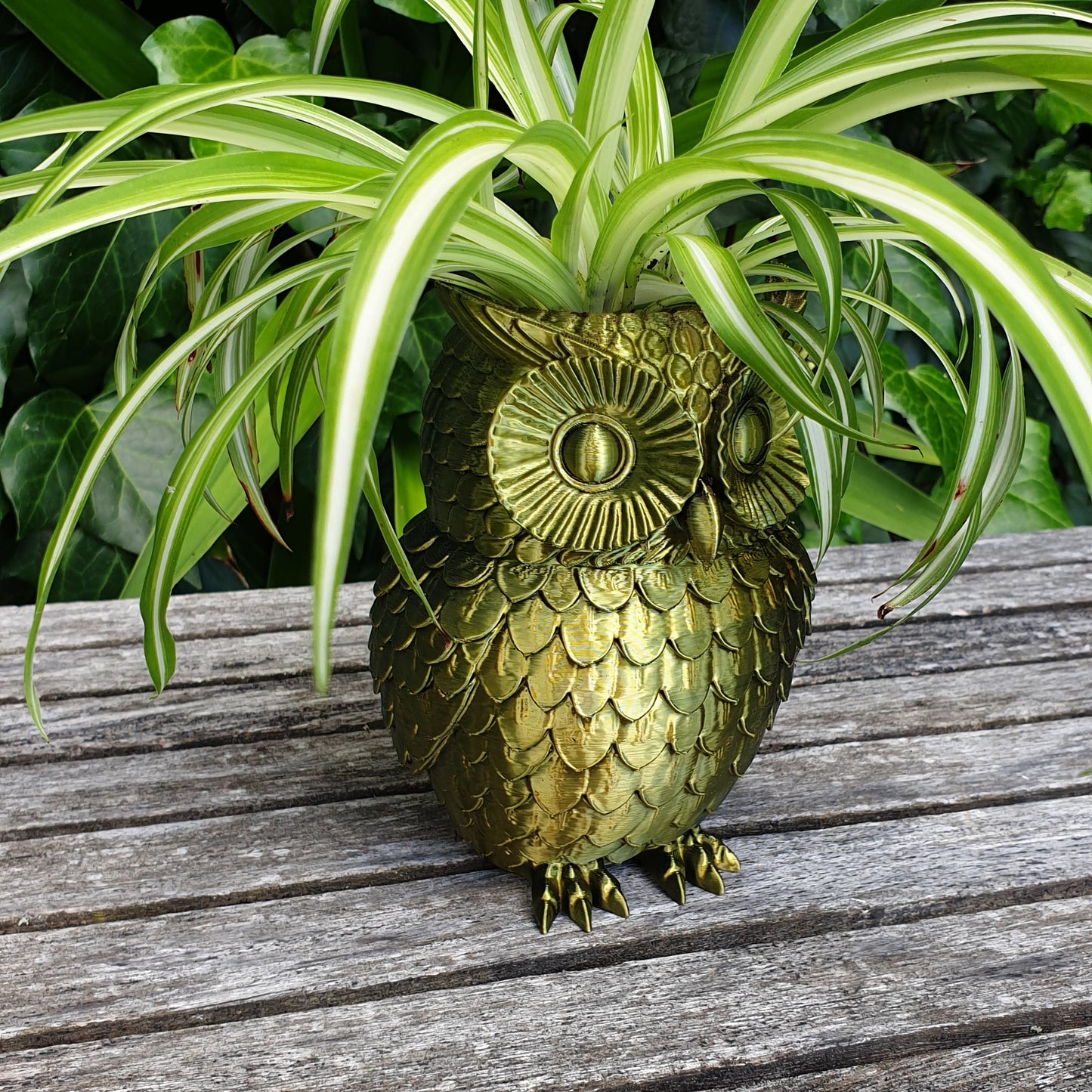 Owl Planter