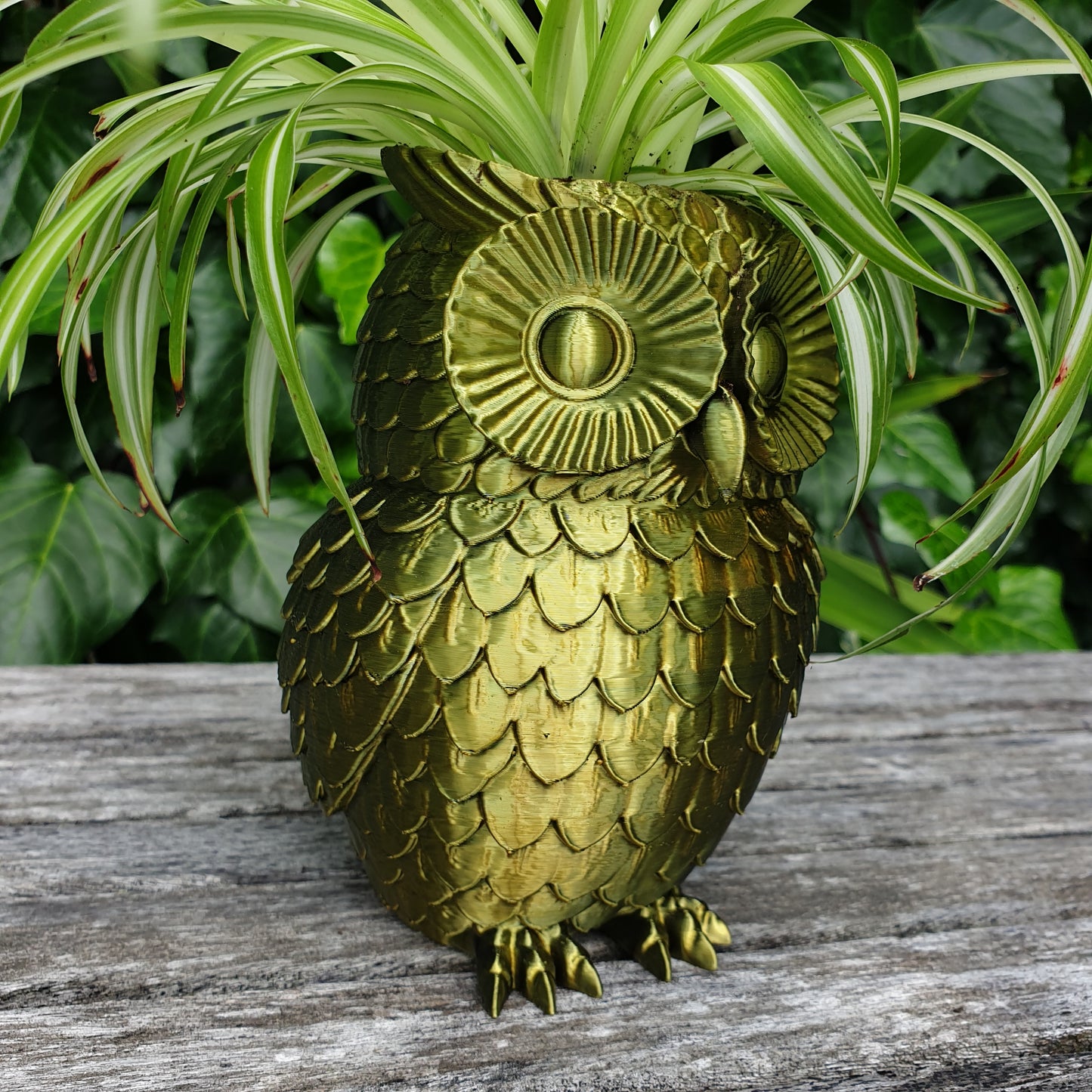 Owl Planter