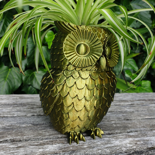 Owl Planter