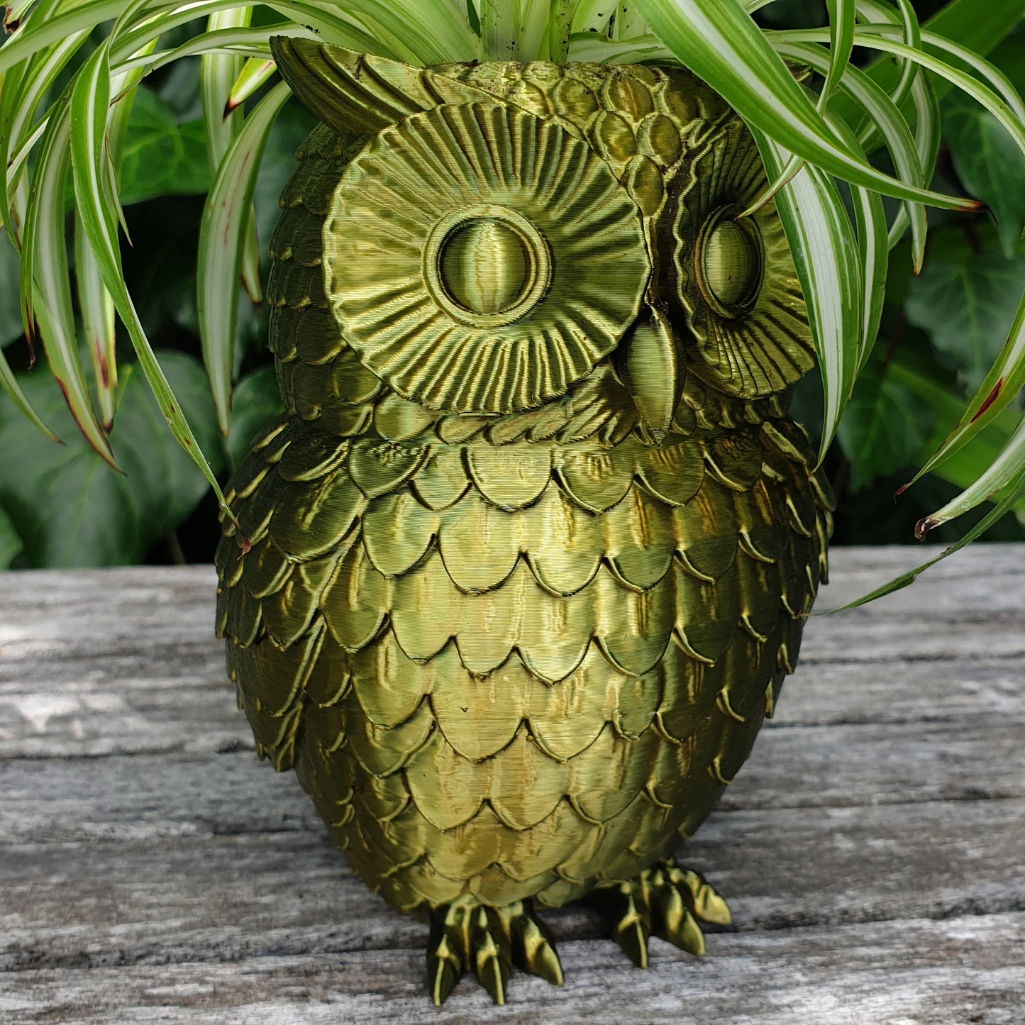 Owl Planter