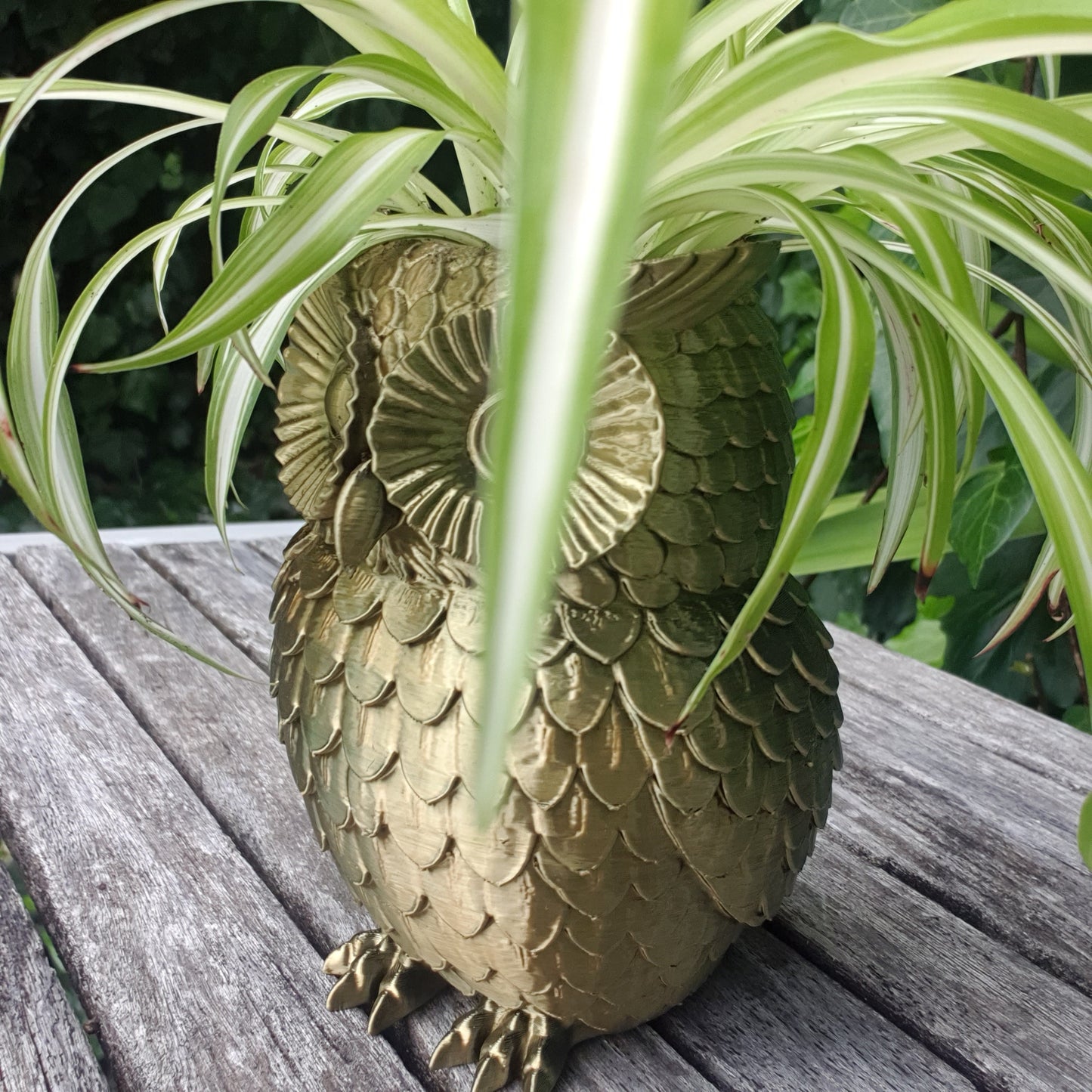 Owl Planter