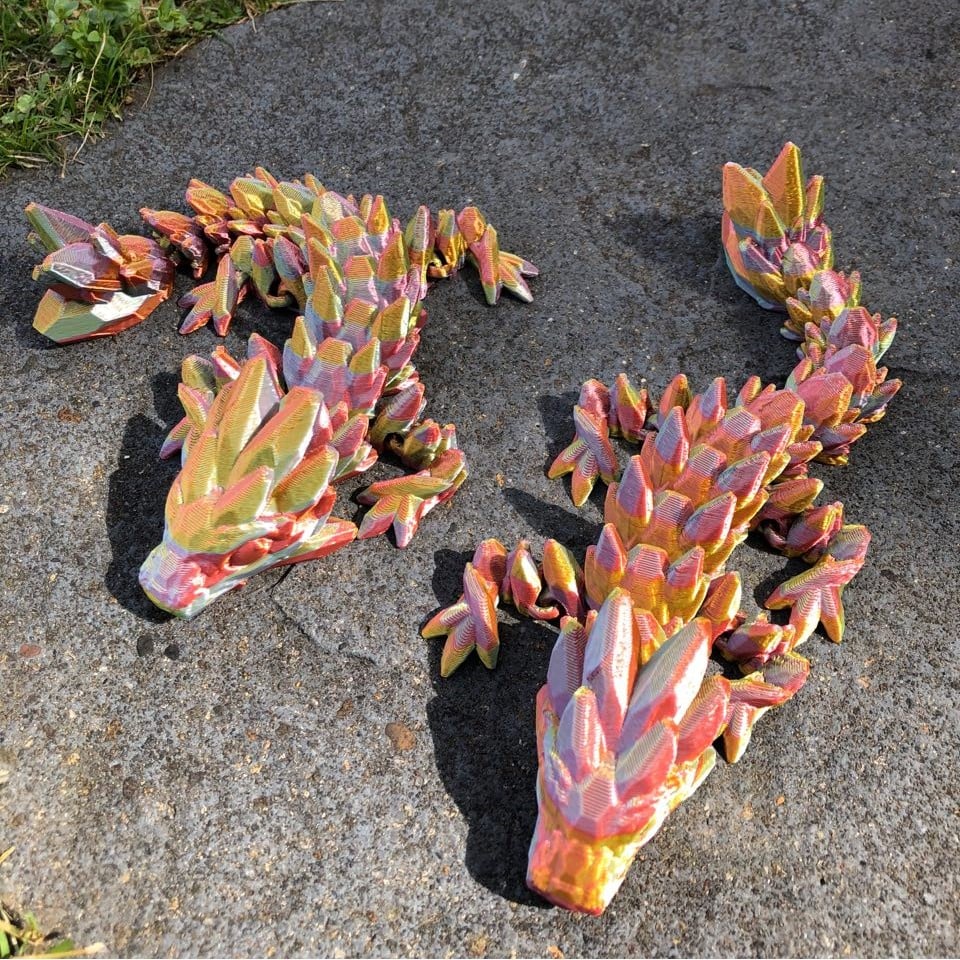 Rainbow Articulated Dragon Twins