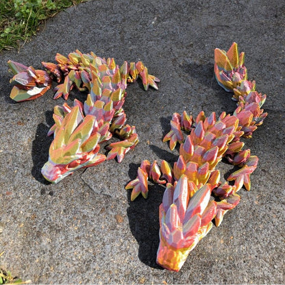 Rainbow Articulated Dragon Twins