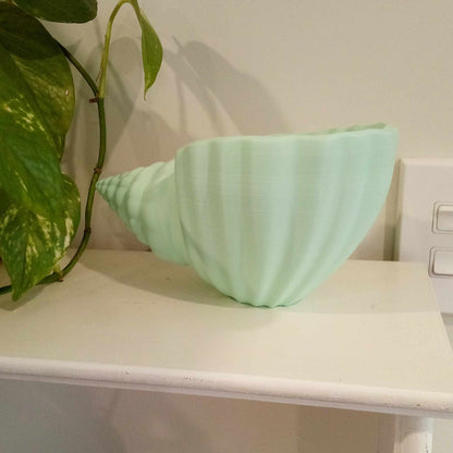 Sea Shell Plant Pot