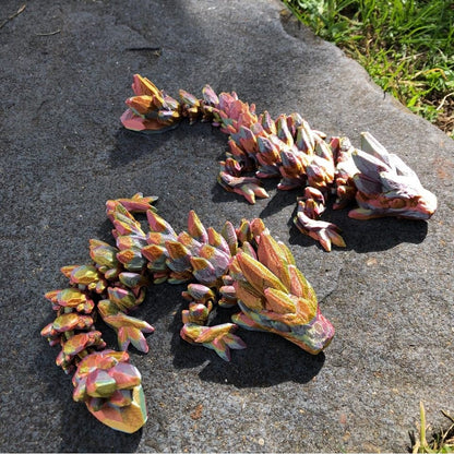 Rainbow Articulated Dragon Twins