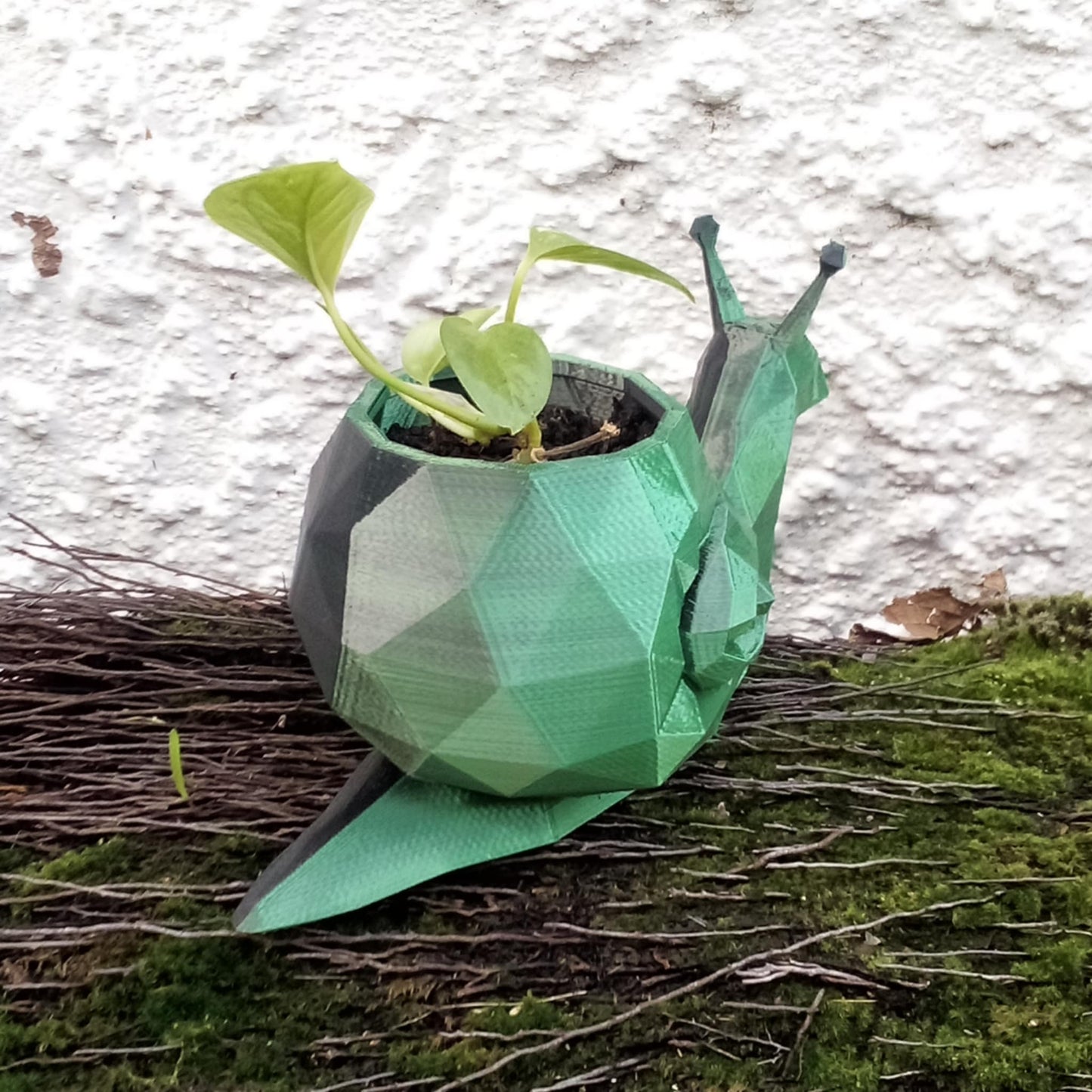 Geometric Snail Plant Pot