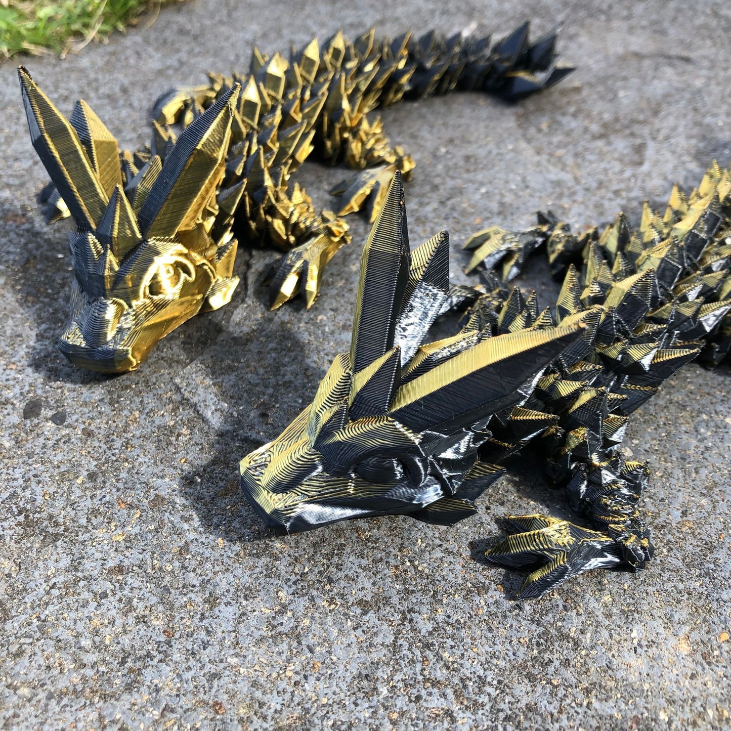 Rainbow Articulated Dragon Twins