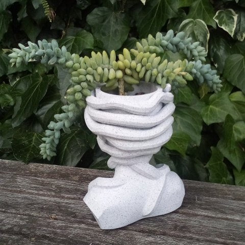 Medusa Planter