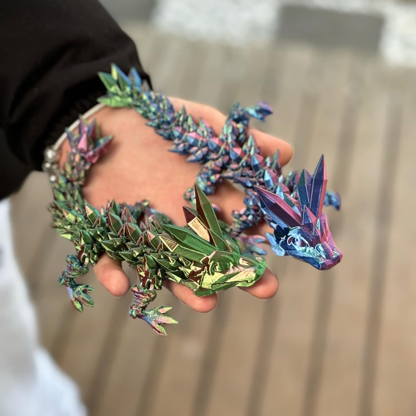 Rainbow Articulated Dragon Twins