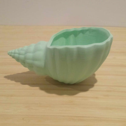 Sea Shell Plant Pot