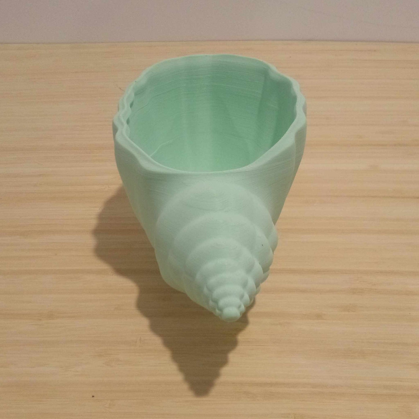 Sea Shell Plant Pot