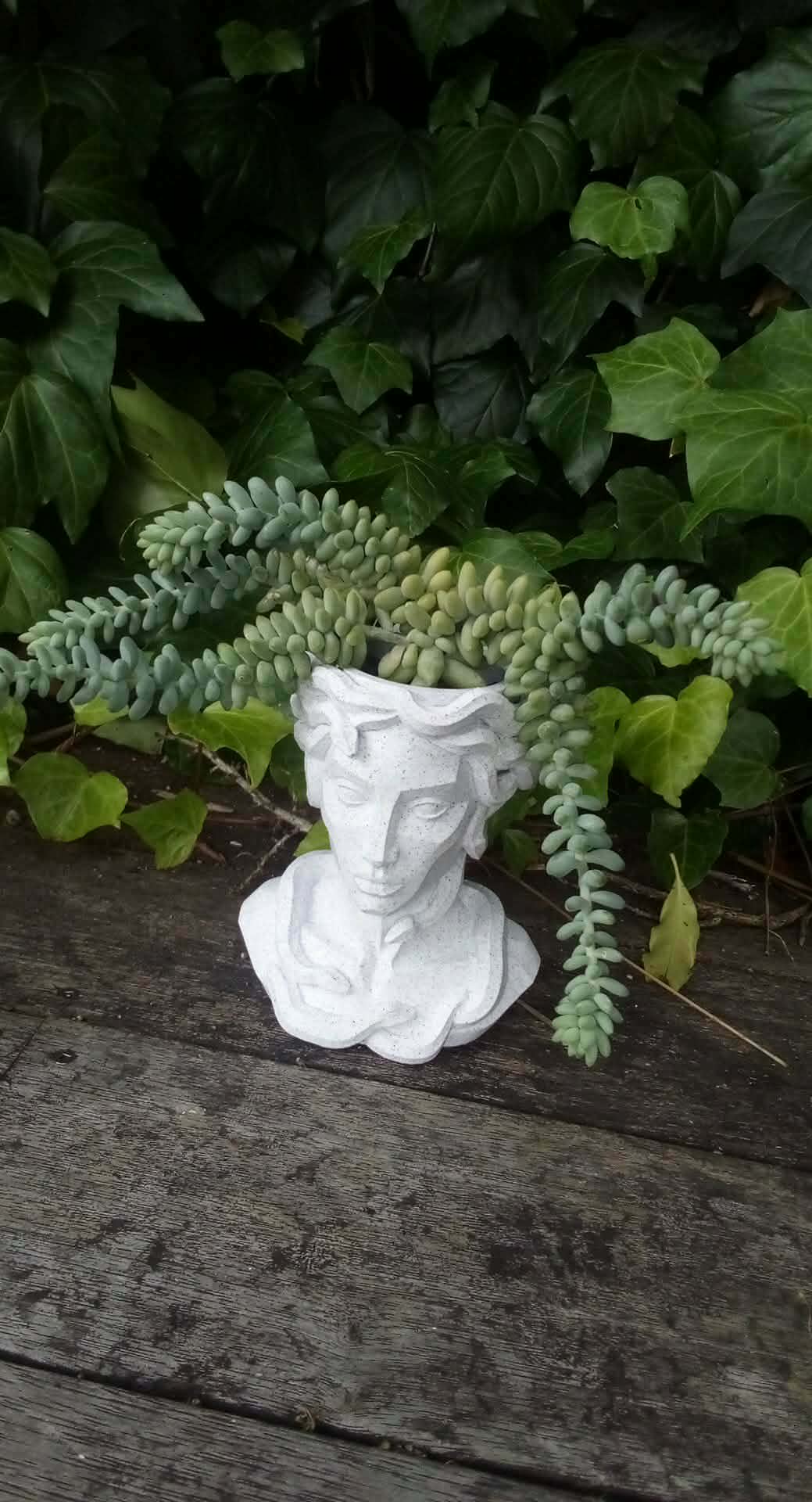 Medusa Planter