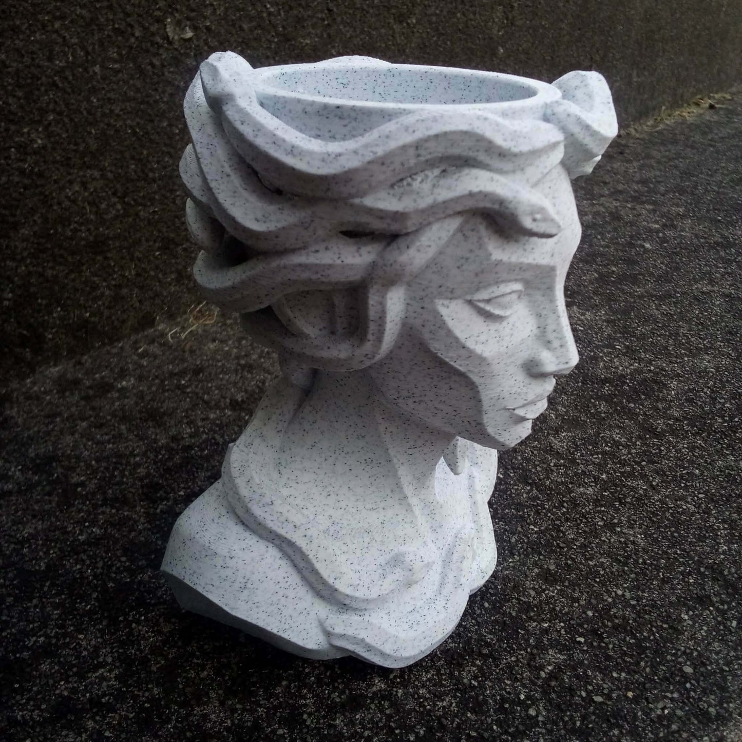 Medusa Planter