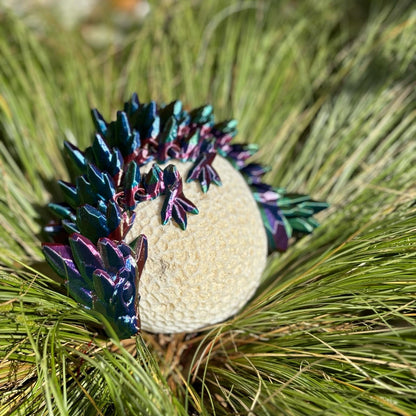 Rainbow Articulated Dragon Twins