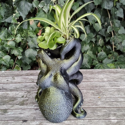 Octopus Wine & Plant Holder