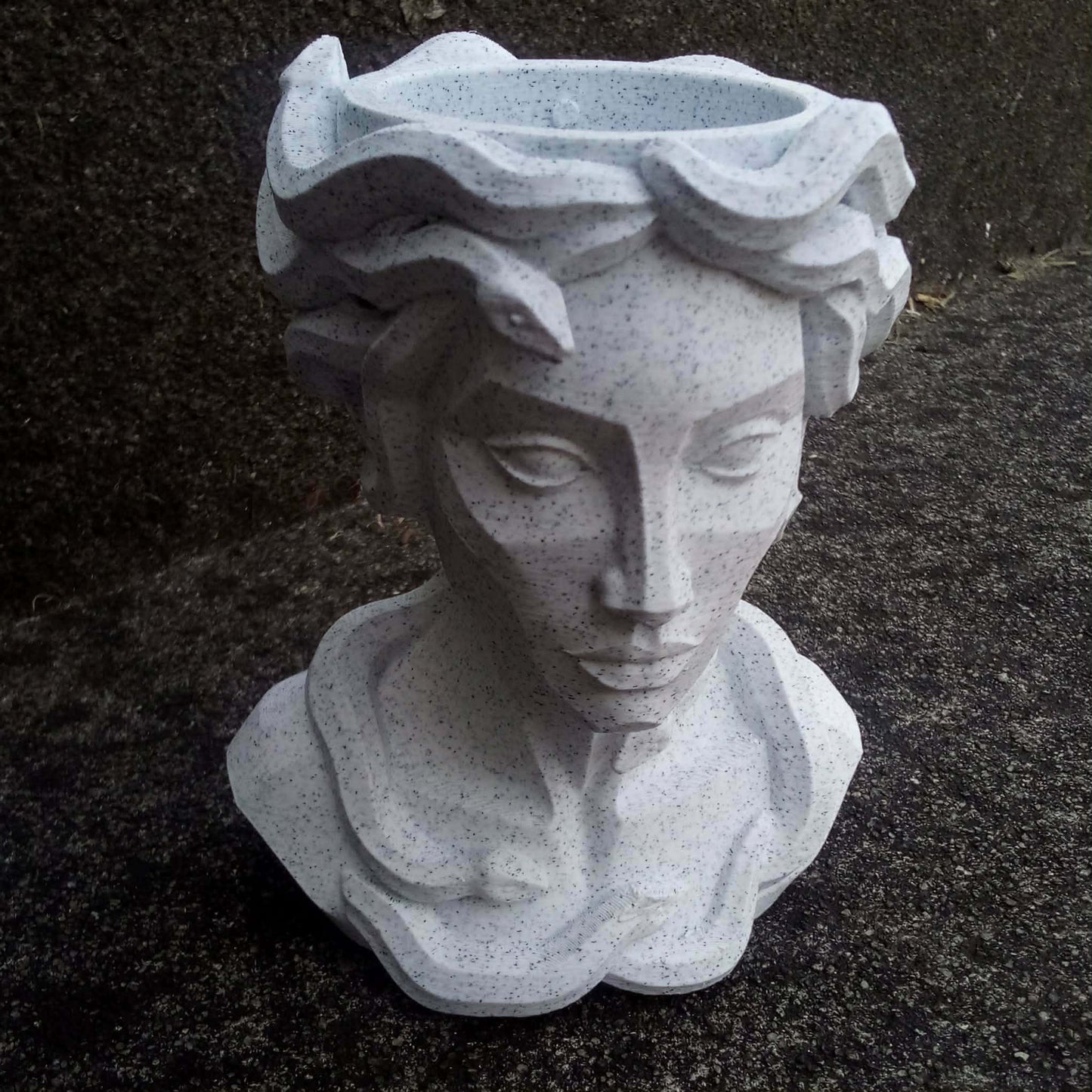 Medusa Planter