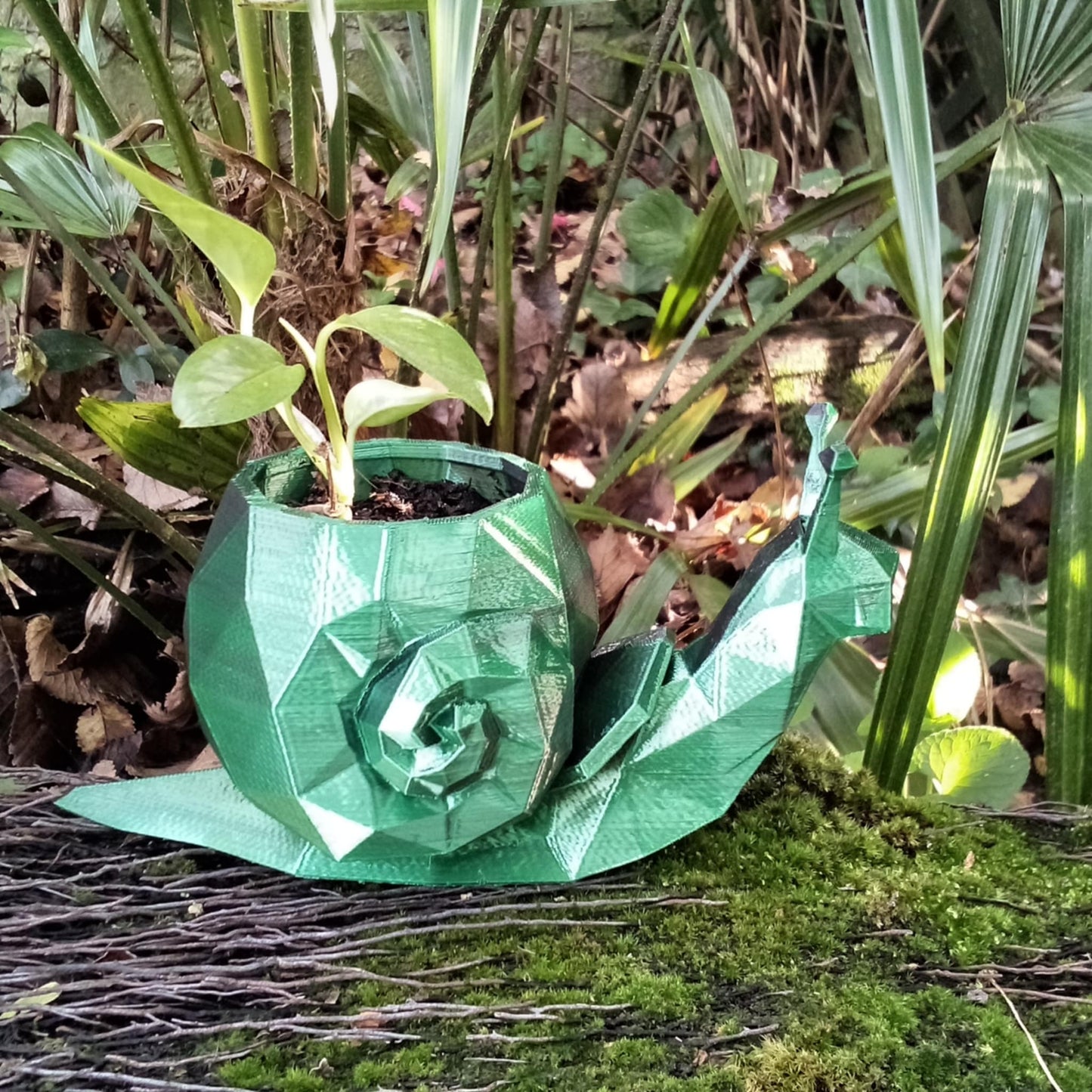 Geometric Snail Plant Pot