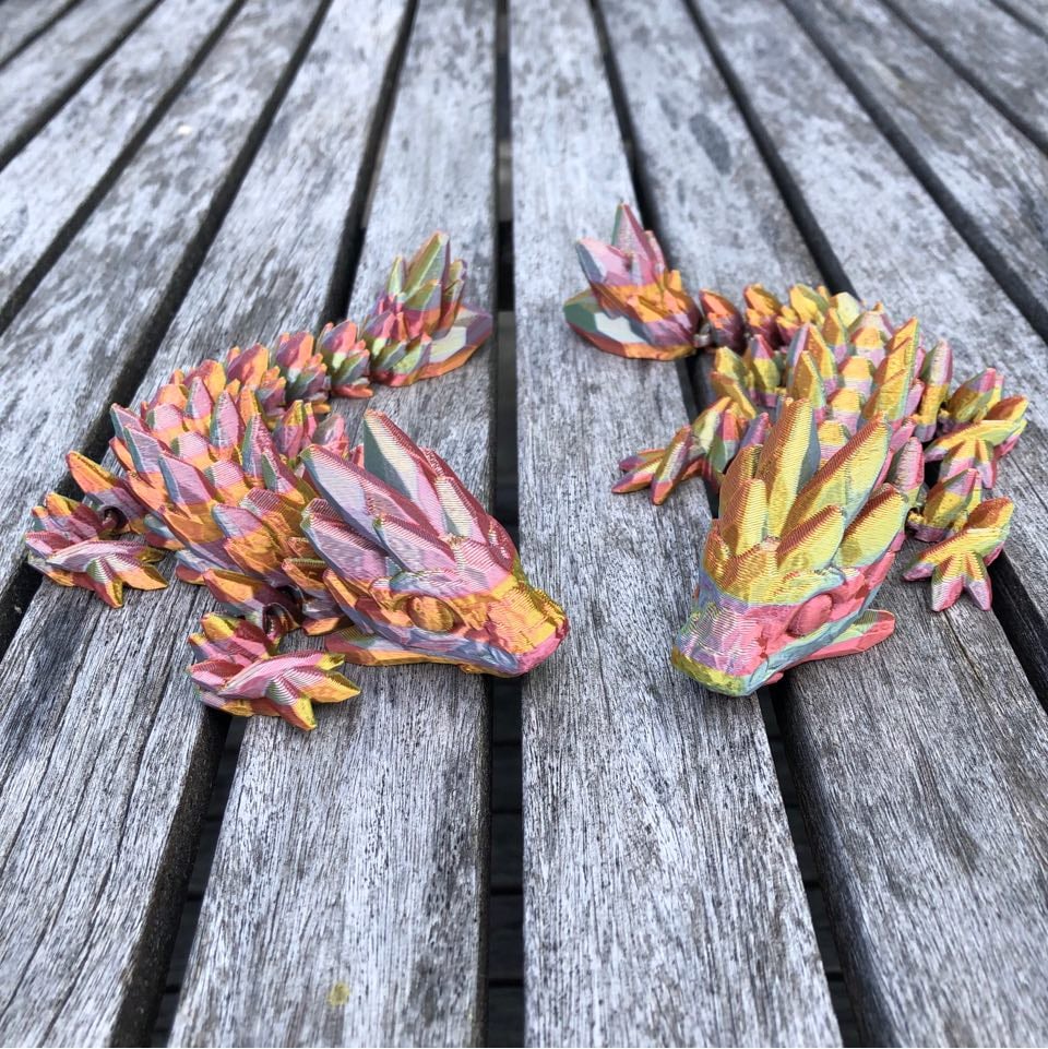 Rainbow Articulated Dragon Twins