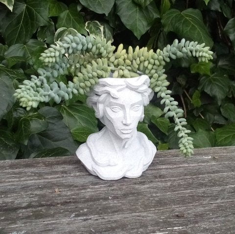 Medusa Planter