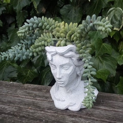 Medusa Planter