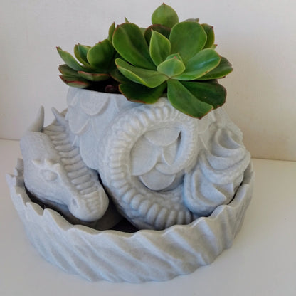 Dragons Nest Planter
