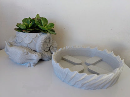 Dragons Nest Planter