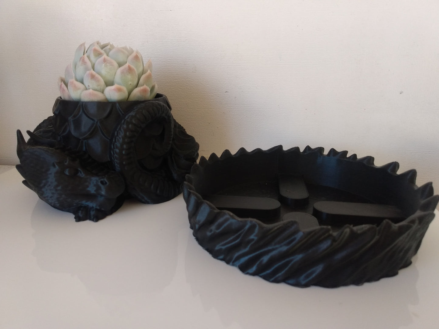 Dragons Nest Planter
