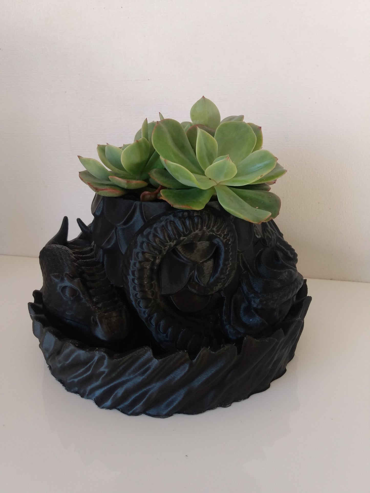 Dragons Nest Planter